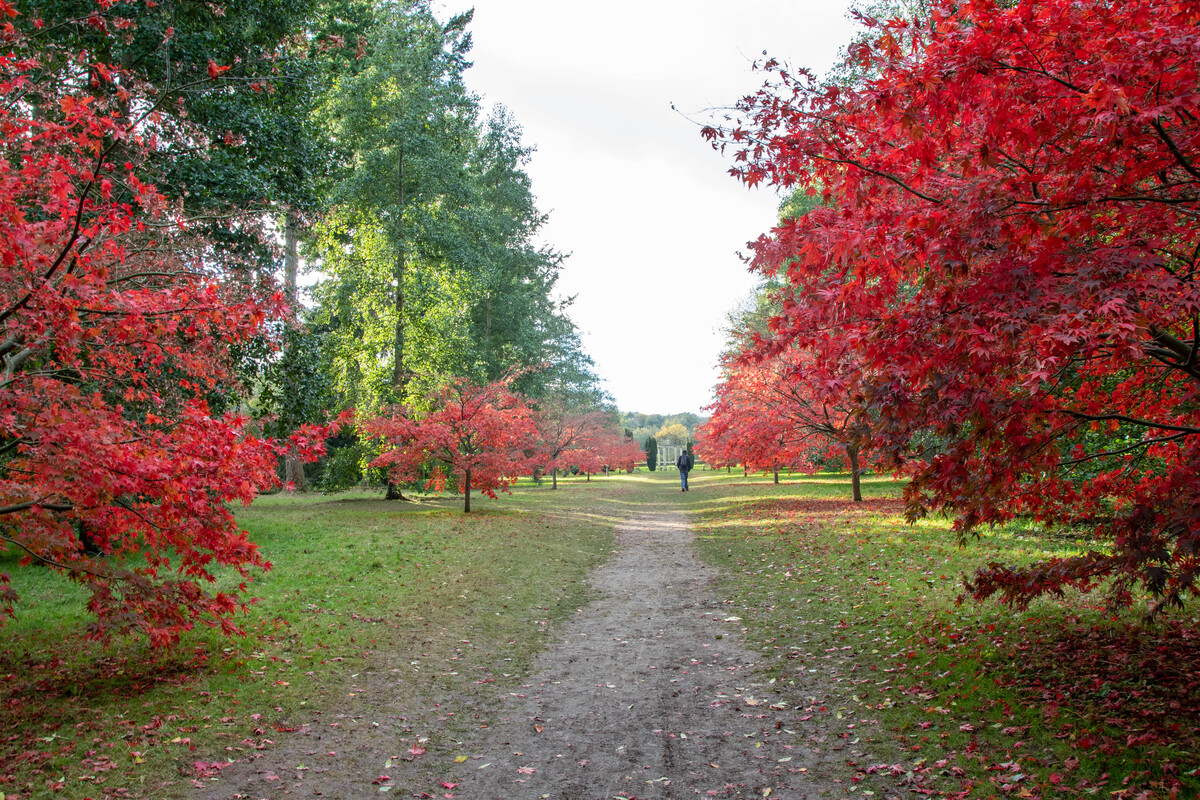 Thorp Perrow in Autumn